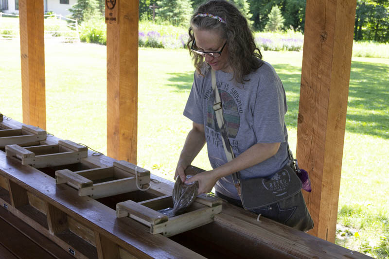 Guest panning at Prosepector Creek