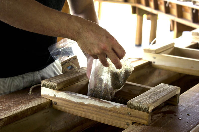 Guests Panning at Prospector Creek