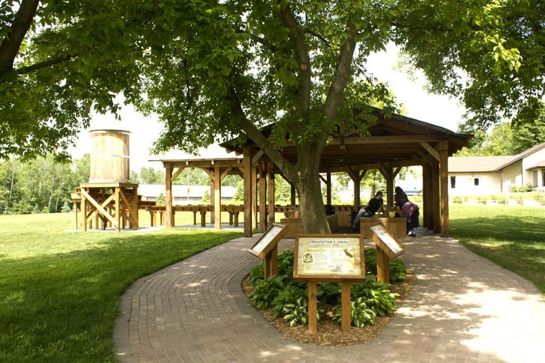 Prospector Creek Photo from Walkway